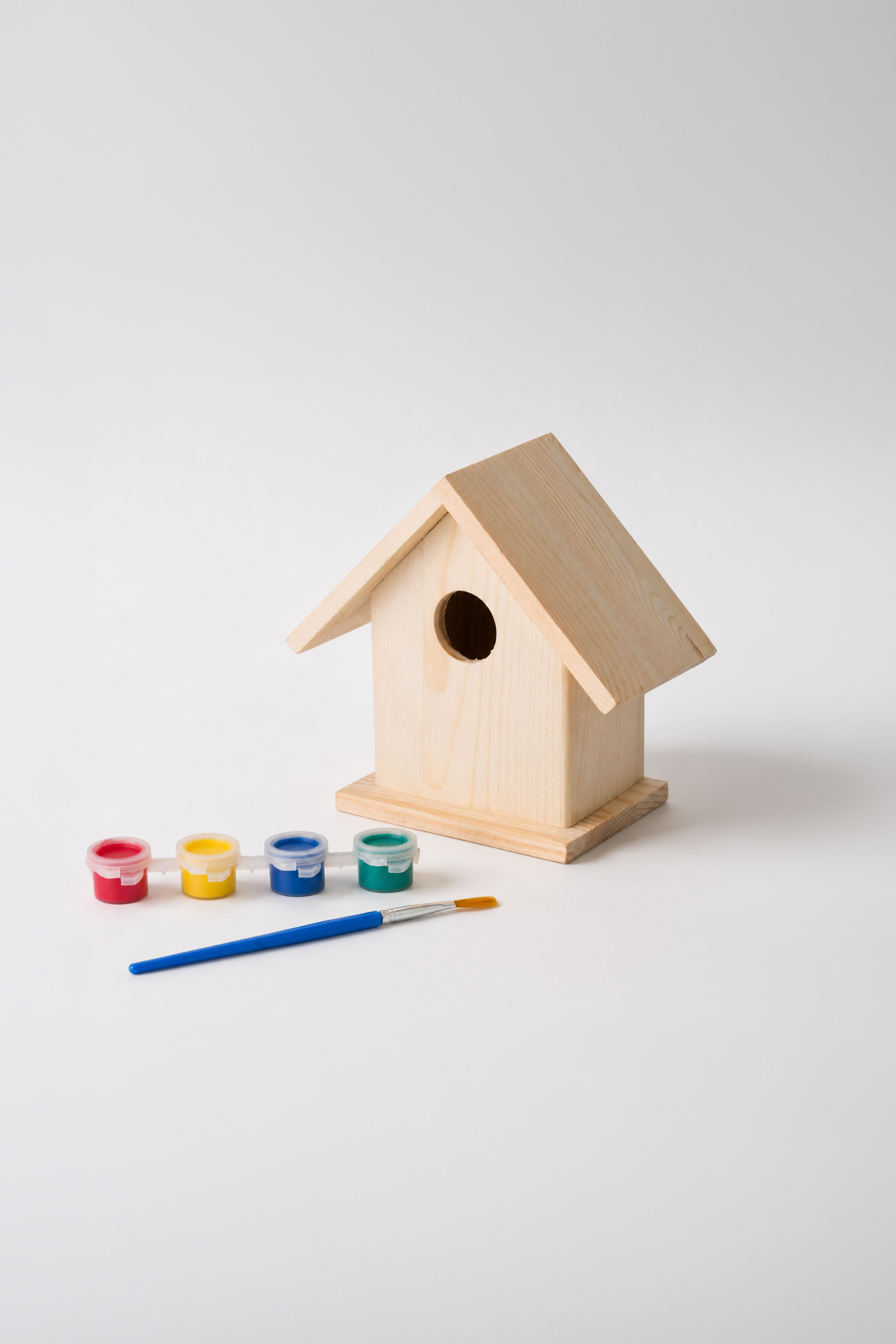Paint-Your-Own Wooden Birdhouse Set