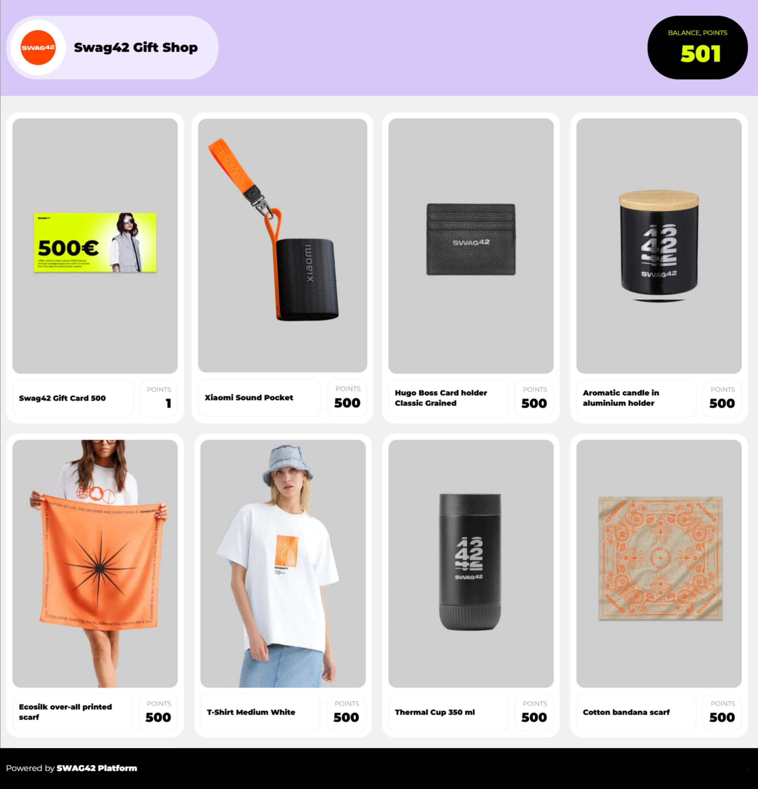 Swag42 company swag store