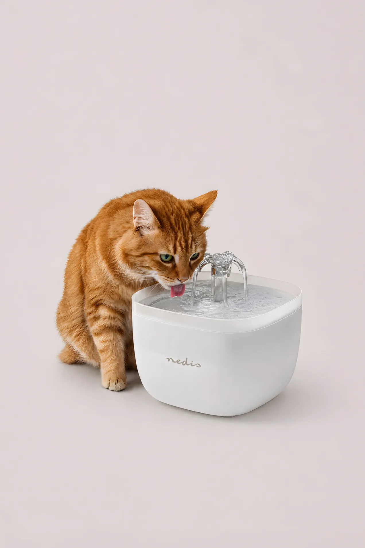 Pet Drinking Fountain position: 5