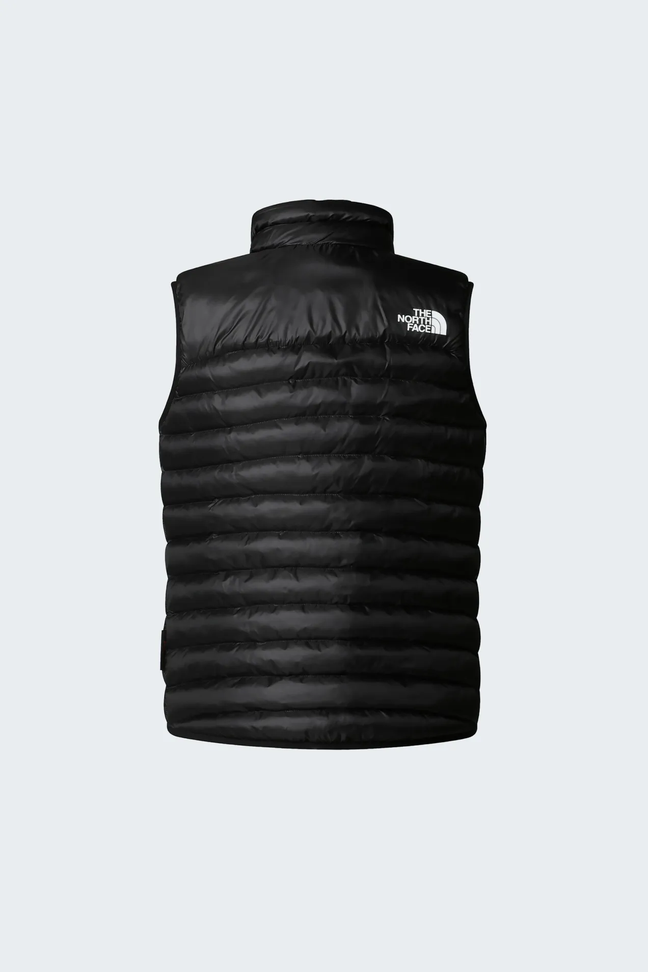 branded The North Face Terra Peak Vest