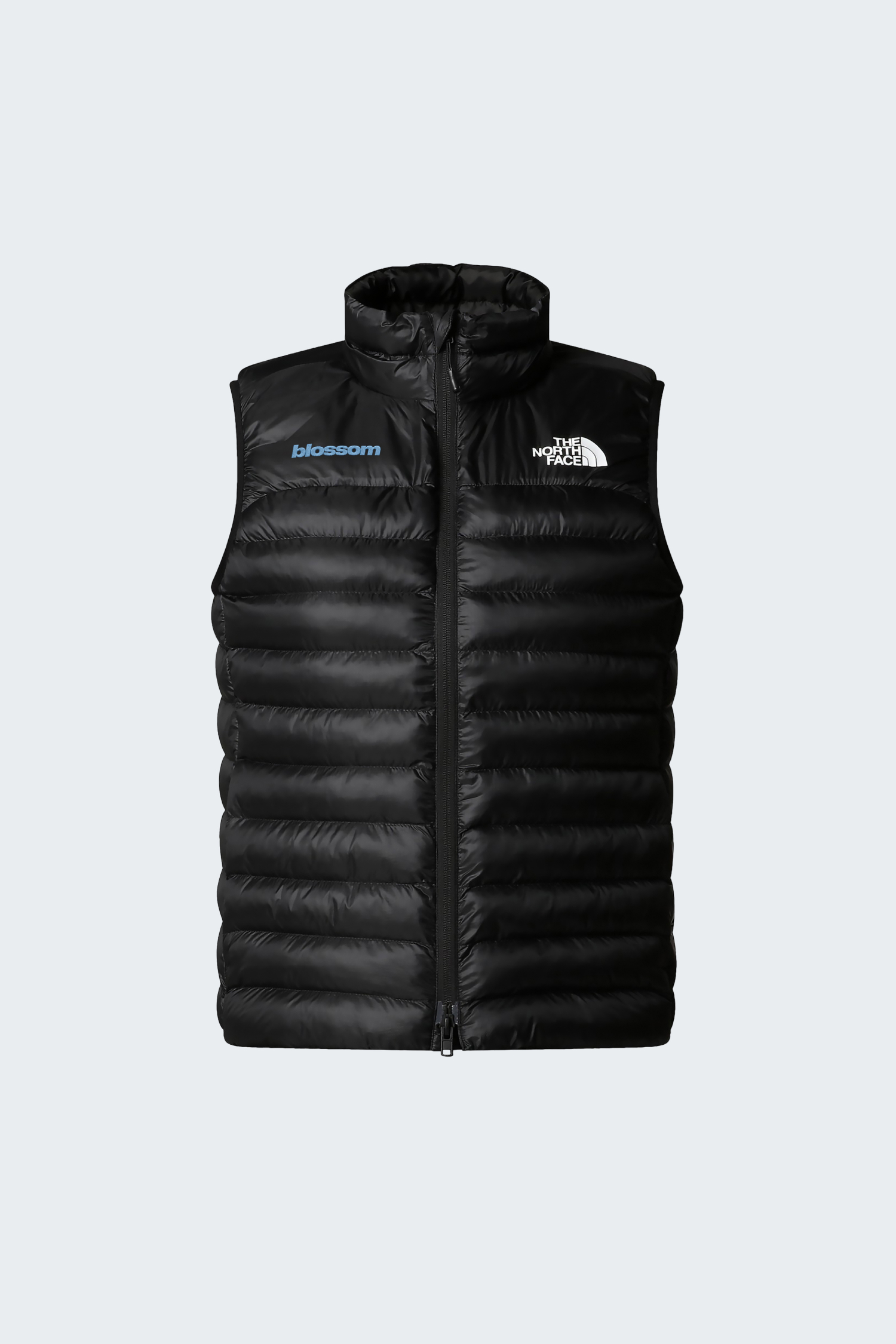 The North Face Terra Peak Vest