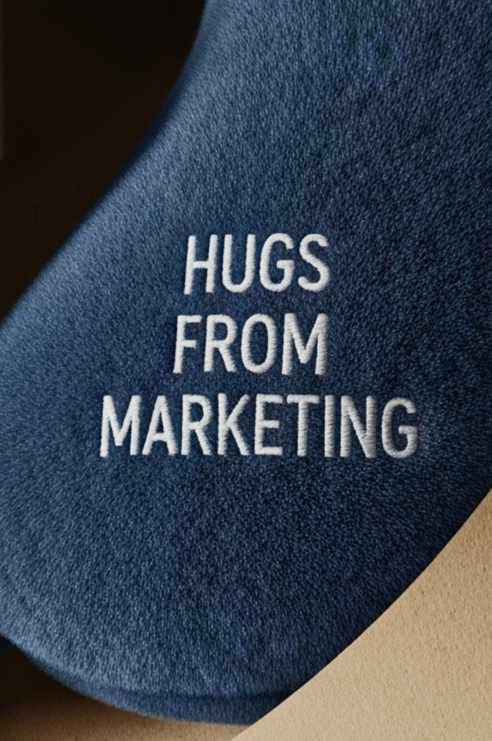 Custom travel pillows emroidery for swag shipping