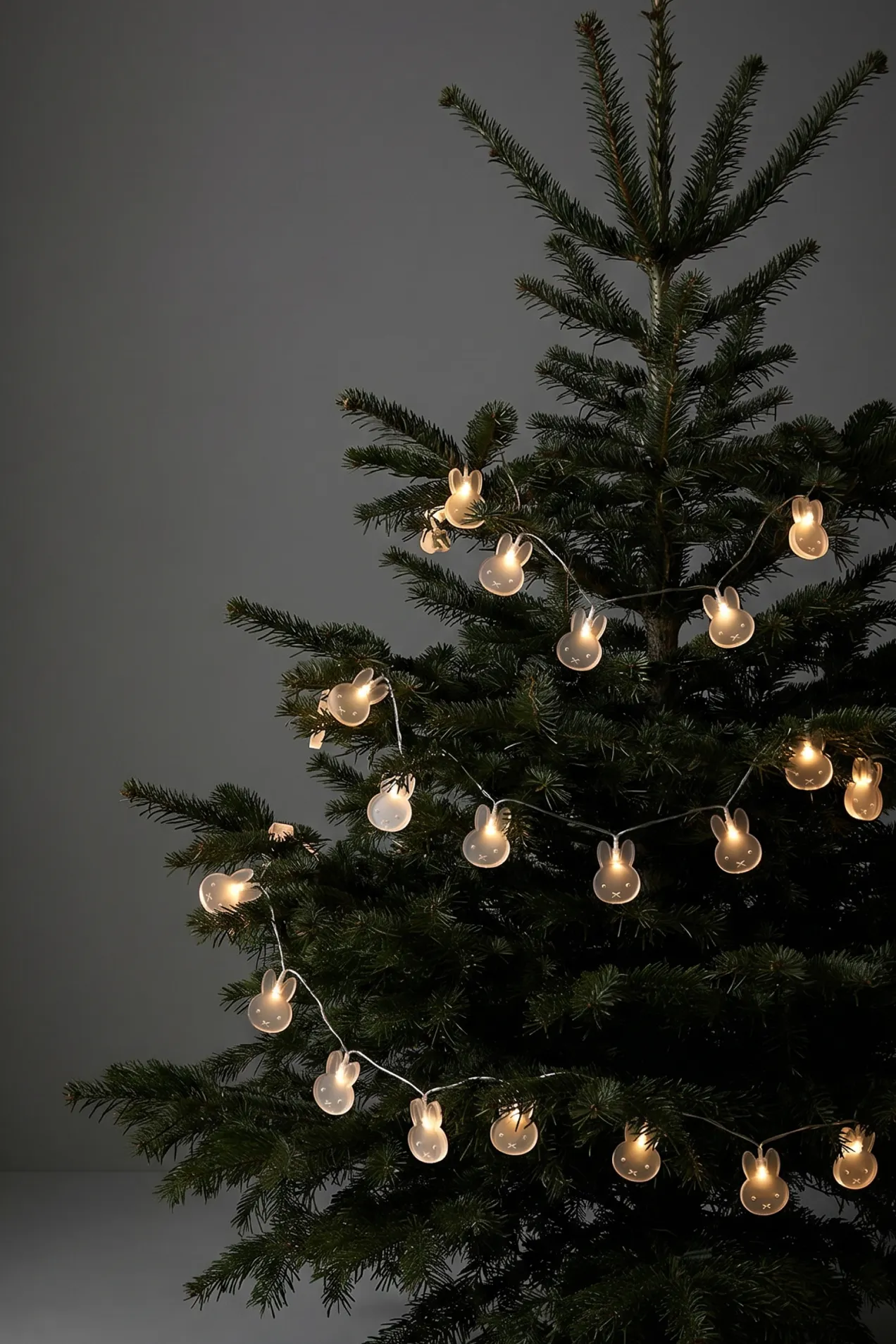 branded Custom LED String Lights