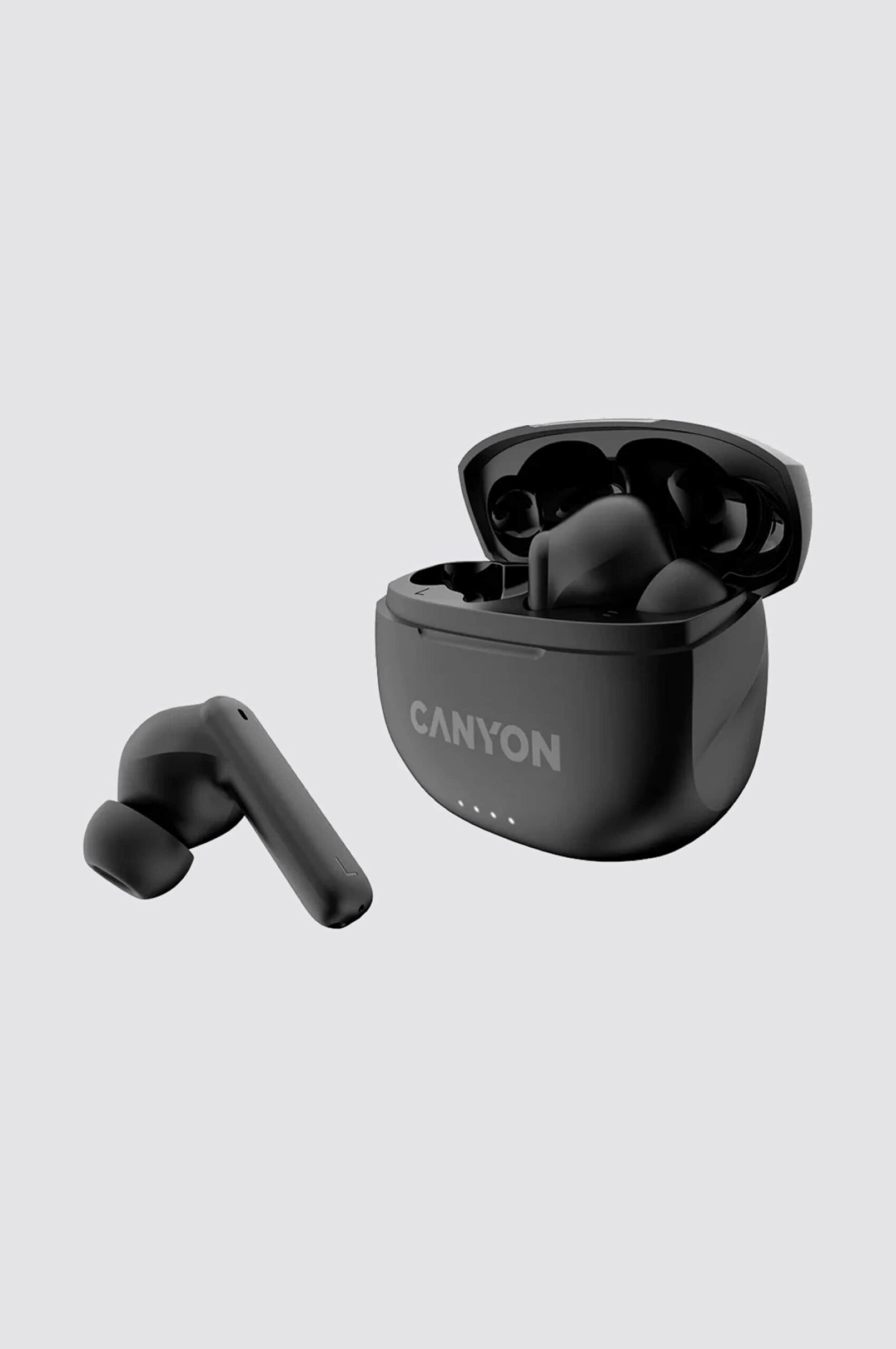 Earplugs